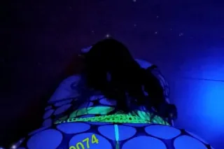 📸📸New Pictures 🇮🇹🐉Italian SSBBW blue eyes and green hair with tatts💙🍀KATY I10 BY KATY MILLS MALL👡💄🪭 - Image 9